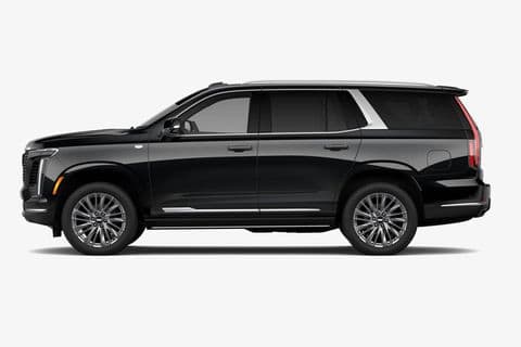 A black Cadillac Escalade Platinum in profile, showing its full length and polished alloy wheels.