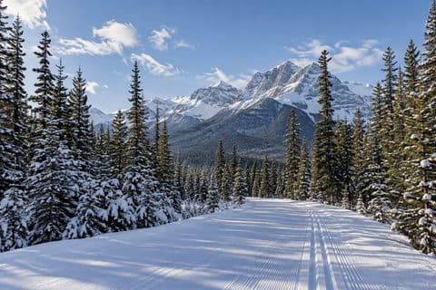 Canmore nordic centre — Calgary / YYC → Canmore.